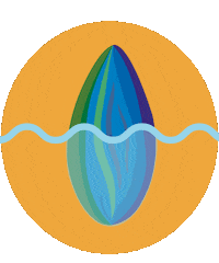 BoundlessActivatedSnacking nuts nut almond probiotic Sticker