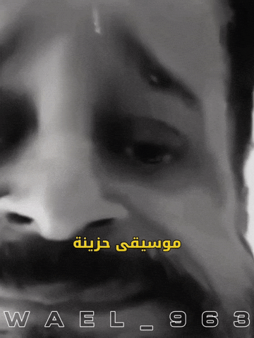Wael GIF