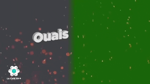 neivounid giphygifmaker useless connard david castello-lopes GIF