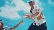 Miami Gdz GIF by Gente De Zona