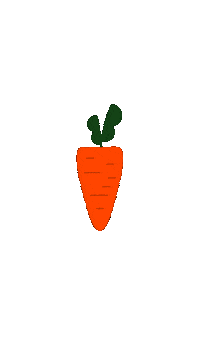 Vegan Carrot Sticker by What About Food