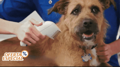 nuvolasup giphygifmaker GIF