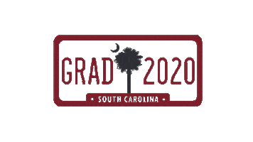 Grad Celebrate Sticker by University of South Carolina