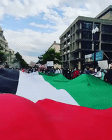 DC Protesters Unfurl Huge Palestinian Flag