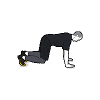 Calisthenics Bear Crawl Sticker by JLFITNESSMIAMI