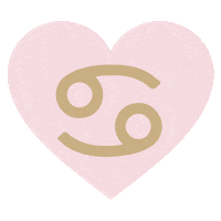 Zodiac Sticker by Frasier Sterling Jewelry