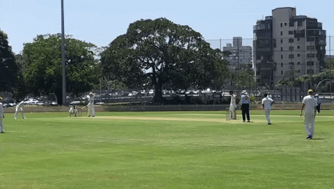 UTS_NSDCC giphygifmaker GIF