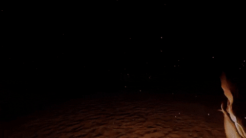 Bootstrapisland giphyupload GIF