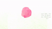 GIF by Zezaz