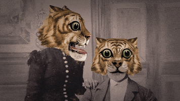 stop motion wtf GIF by Colin Raff