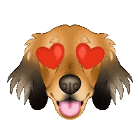 Sausage Dog Dachshund Sticker by zoopeez