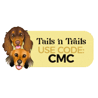 Cricket Mushu Sticker by zoopeez