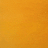 Fun Summer GIF by j.a.c.k.i.e.l.a.n.d