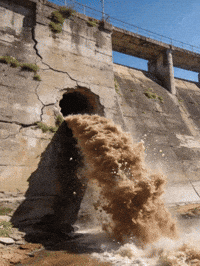 Toilet Paper Omg GIF by ciabcn