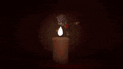 恭喜发财 Chinese New Year GIF by SYBO