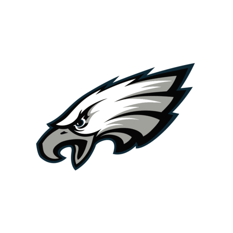 Fly Eagles Fly Football Sticker by Philadelphia Eagles