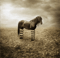GHOSTYMPA meme spring horse tuff GIF