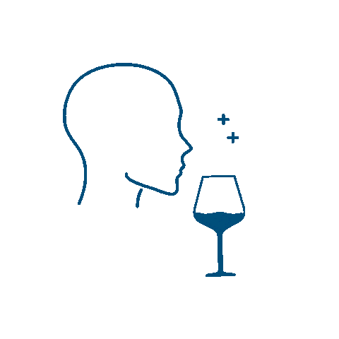 adrienboutin giphyupload drink wine ccvh tasting wine Sticker