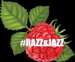 RazzandJazz raspberry berrylicious razzandjazz berrygoodtimes GIF