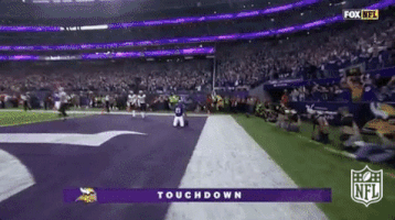 Minnesota Vikings Football GIF by NFL