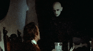 phantom der nacht vampyre GIF