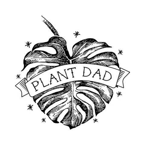 onlyfrond giphyupload plant plants houseplant Sticker
