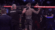 Mixed Martial Arts Sport GIF by UFC