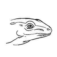 Velozee smile amphibian lizzard velozee Sticker