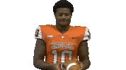 Football Celebration Sticker by Carson-Newman Athletics