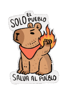 Lucha Protesta Sticker