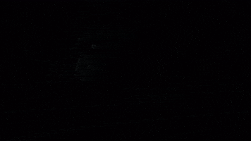 Football Sport GIF by Indianapolis Colts