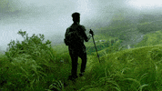 northern lights time GIF by ADWEEK
