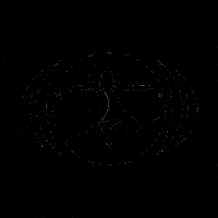 dancewaves dancewaves dancewavescompetition GIF