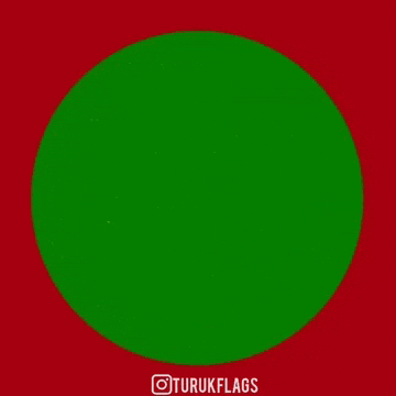 Ottoman Empire Turk GIF