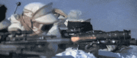 cat twist GIF