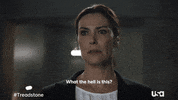 Usa Network Television GIF by Treadstone