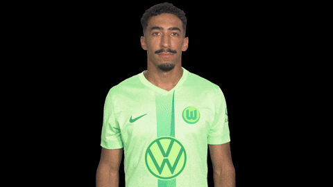Three Points Win GIF by VfL Wolfsburg