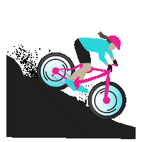 Pink Bike Sticker by Dirty Jane