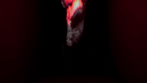 Scared Horror GIF by Wired Productions