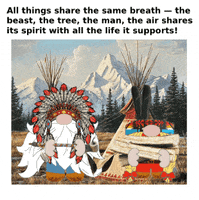 Native American Gnome GIF