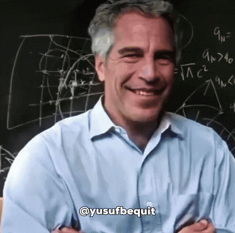 Jeffrey Epstein Diddy GIF