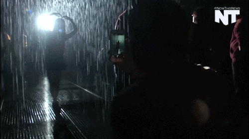 china art GIF by NowThis