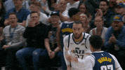 Celebrate Regular Season GIF by NBA