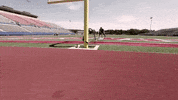 Houston Texans Win GIF by Onnit