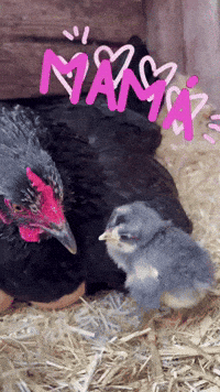 Mama Kind GIF