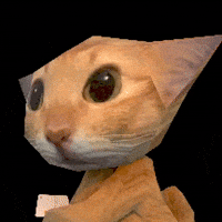 Cat Card GIF