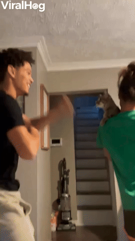 Boxing Match With a Kitten