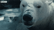 Bbc One GIF by BBC