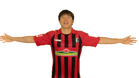 Sc Freiburg Love Sticker by Bundesliga