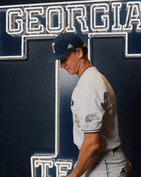 Georgia Tech Baseball GIF by Georgia Tech Yellow Jackets